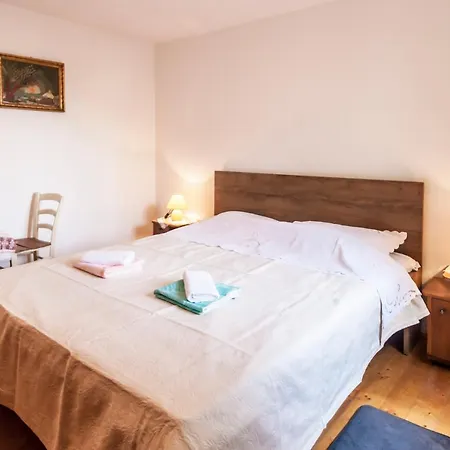 House Krizanic In Marcana, Istria, With 2 Apartments, Total 9 Guests Marcana